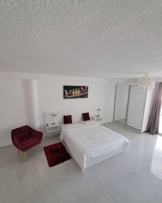 Hello Guyane, Suite Collection Cayenne Exterior foto